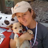 Jennifer Krause